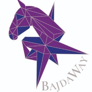 Bajda Way profile picture